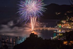 fuochi artificio (10)